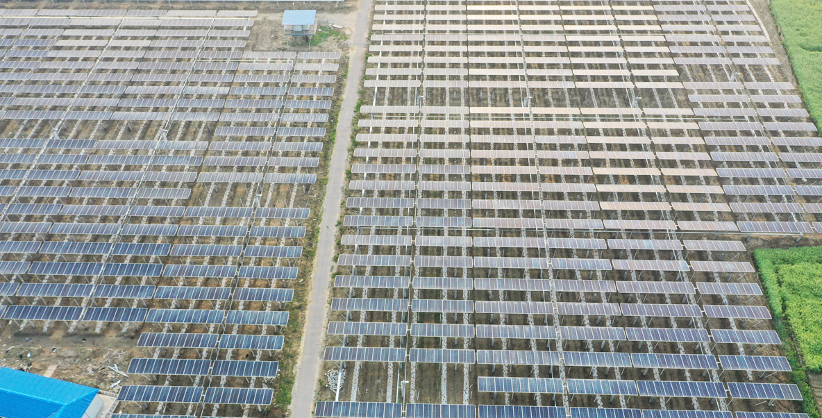 Agro-optical complementary photovoltaic power station project - Cancer series